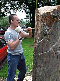 James working on the tree